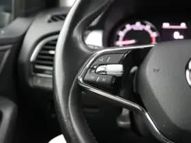 Škoda Fabia thumbnail 20