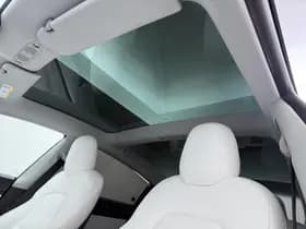 Tesla Model 3 Performance AWD 75 kWh thumbnail 19