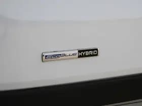 Ford Transit 350 2.0 TDCI L3H2 Trend MHEV 170pk Trend - Navigatie - Blind Spot - Adaptive cruise - Camera - 270gr deuren - Trekhaak - Rijklaar thumbnail 33