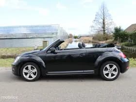 Volkswagen Beetle thumbnail 23