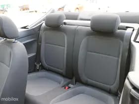 Volkswagen Beetle thumbnail 9