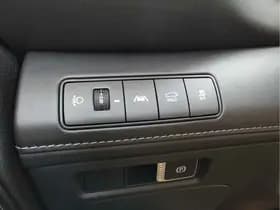 Hyundai Santa Fe thumbnail 30