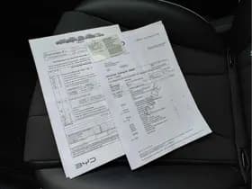 BYD Dolphin thumbnail 29