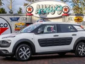 Citroen C4 Cactus 1.2 PureTech Live 1e Eig. 23.900 km +NAP NL- auto