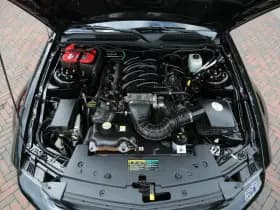 Ford Saleen S281 4.6L V8 thumbnail 50