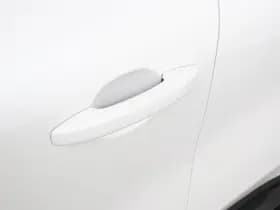 Mitsubishi Grandis thumbnail 37