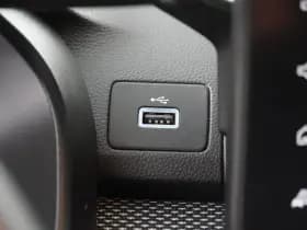 Dacia Sandero Stepway thumbnail 19
