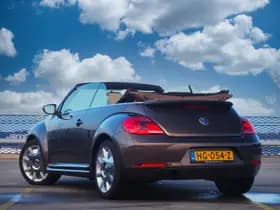 Volkswagen Beetle thumbnail 11