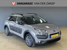 Citroën C4 Cactus thumbnail 6