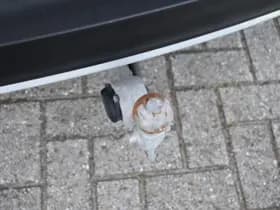 Volvo XC40 T4 211PK Recharge Inscription Expression thumbnail 26