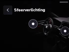 SEAT Ibiza 1.0 EcoTSI FR Business Connect | NAVIGATIE- PACK | DAB | FULL LINK | CAMERA | 18" thumbnail 47