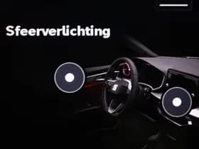 SEAT Ibiza 1.0 EcoTSI FR Business Connect | NAVIGATIE- PACK | DAB | FULL LINK | CAMERA | 18" thumbnail 47