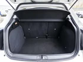 Fiat 500X 1.0 FireFly Turbo 120 Sport Dolcevita thumbnail 14