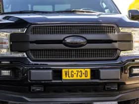 Ford F-150 thumbnail 19