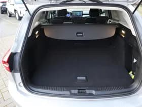 Ford Focus thumbnail 11