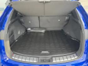 Lexus NX thumbnail 103