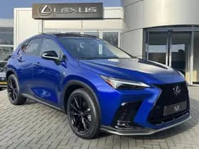 Lexus NX thumbnail 13