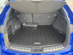Lexus NX thumbnail 54