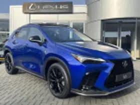 Lexus NX thumbnail 62
