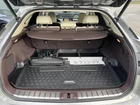Lexus RX thumbnail 43