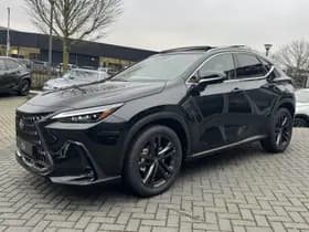 Lexus NX thumbnail 13