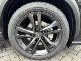 Lexus NX thumbnail 16