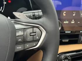 Lexus NX thumbnail 28