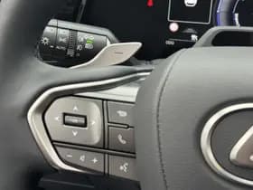 Lexus NX thumbnail 29