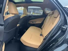 Lexus NX thumbnail 33