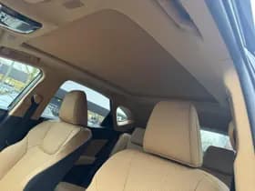 Lexus NX thumbnail 34