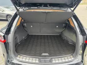 Lexus NX thumbnail 38