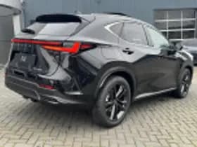 Lexus NX thumbnail 43