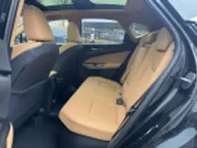 Lexus NX thumbnail 67