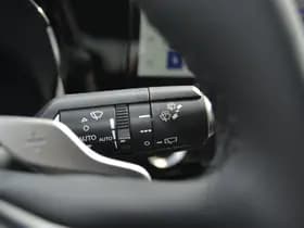 Lexus NX thumbnail 34
