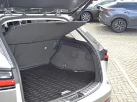 Lexus NX thumbnail 44