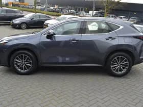 Lexus NX thumbnail 12