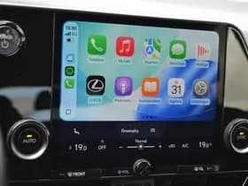 Lexus NX thumbnail 28