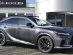 Lexus RX thumbnail 54