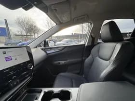 Lexus NX thumbnail 36