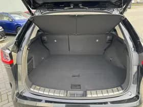 Lexus NX thumbnail 38