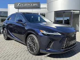 Lexus RX thumbnail 13