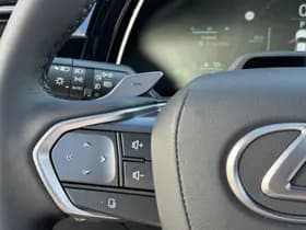 Lexus RX thumbnail 28