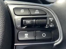 Kia E Niro Niro Ev e-Niro ExecutiveLine 64kWh 204PK - LUXE UITVOERING! thumbnail 13