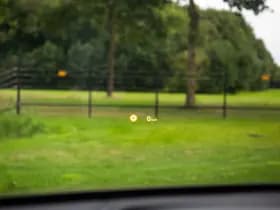 BMW X2 sDrive20i Business Edition , M-Sport, Panoramadak, Head-up display, BMW-Led thumbnail 12