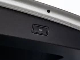 Volkswagen Tiguan 2.0 TSI R 75 Edition 4Motion 320PK , Adap. cruise, Stuur/stoelverwarming, 360°camera, thumbnail 30