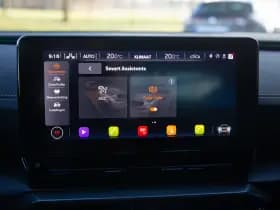 CUPRA Formentor 1.5 TSI Business Edition , Adap. cruise, Achteruitrijcamera, Sfeerverlichting, thumbnail 17