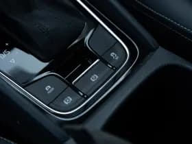 Škoda Kodiaq 1.5 TSI Business Edition 7p. , Virtual cockpit, Carplay, Achteruitrijcamera, thumbnail 21