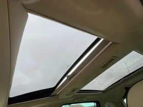 Lancia Musa thumbnail 23