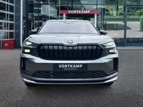 Škoda Kodiaq thumbnail 2