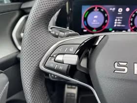 Škoda Kodiaq thumbnail 13